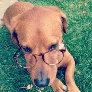 Meet your Posher, Cara